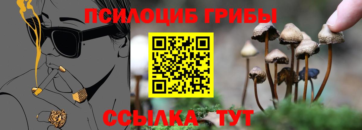 купить наркотики цена  Галлюциногенные грибы прущие грибы  Вход с VPN  Вольск 